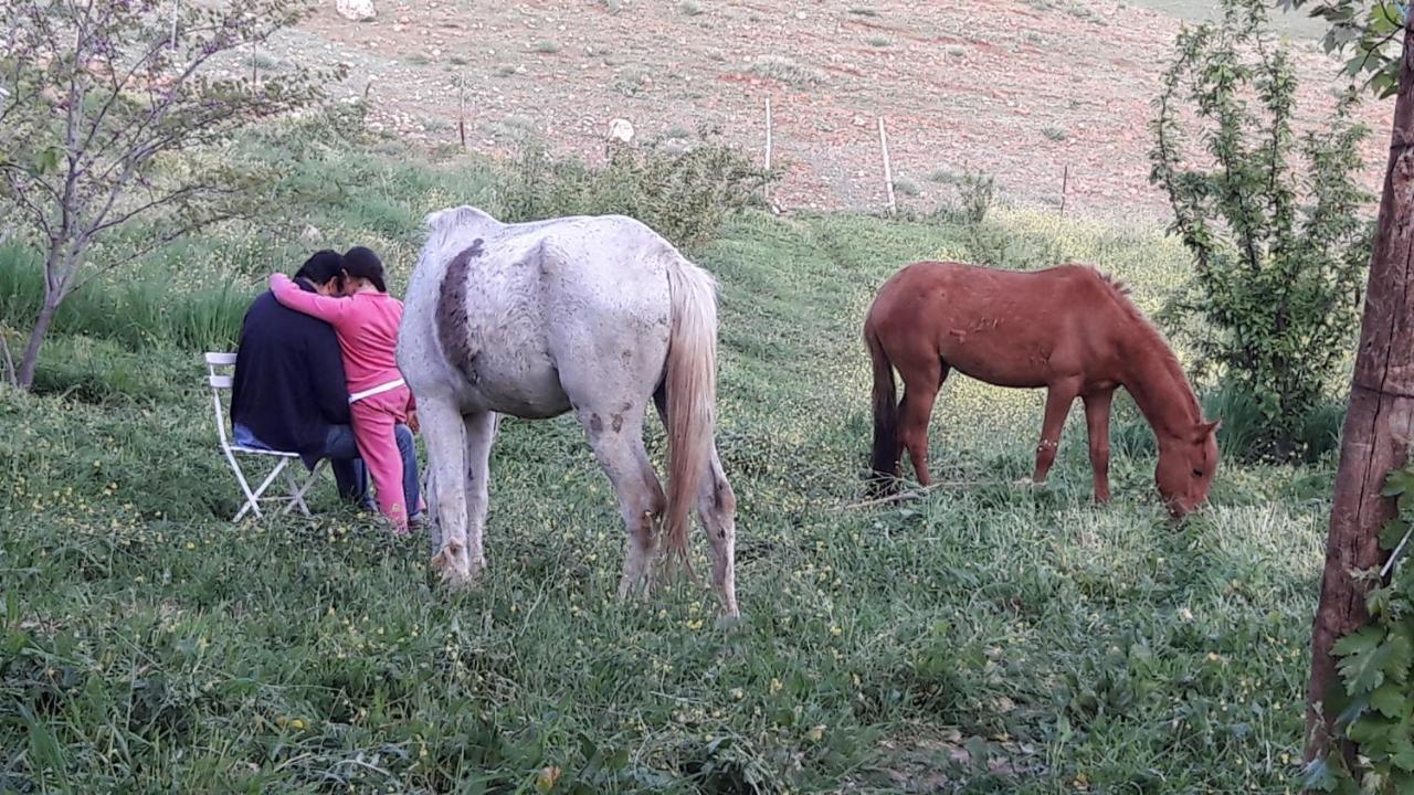 Le Chene D'Azrou Hotel Bagian luar foto