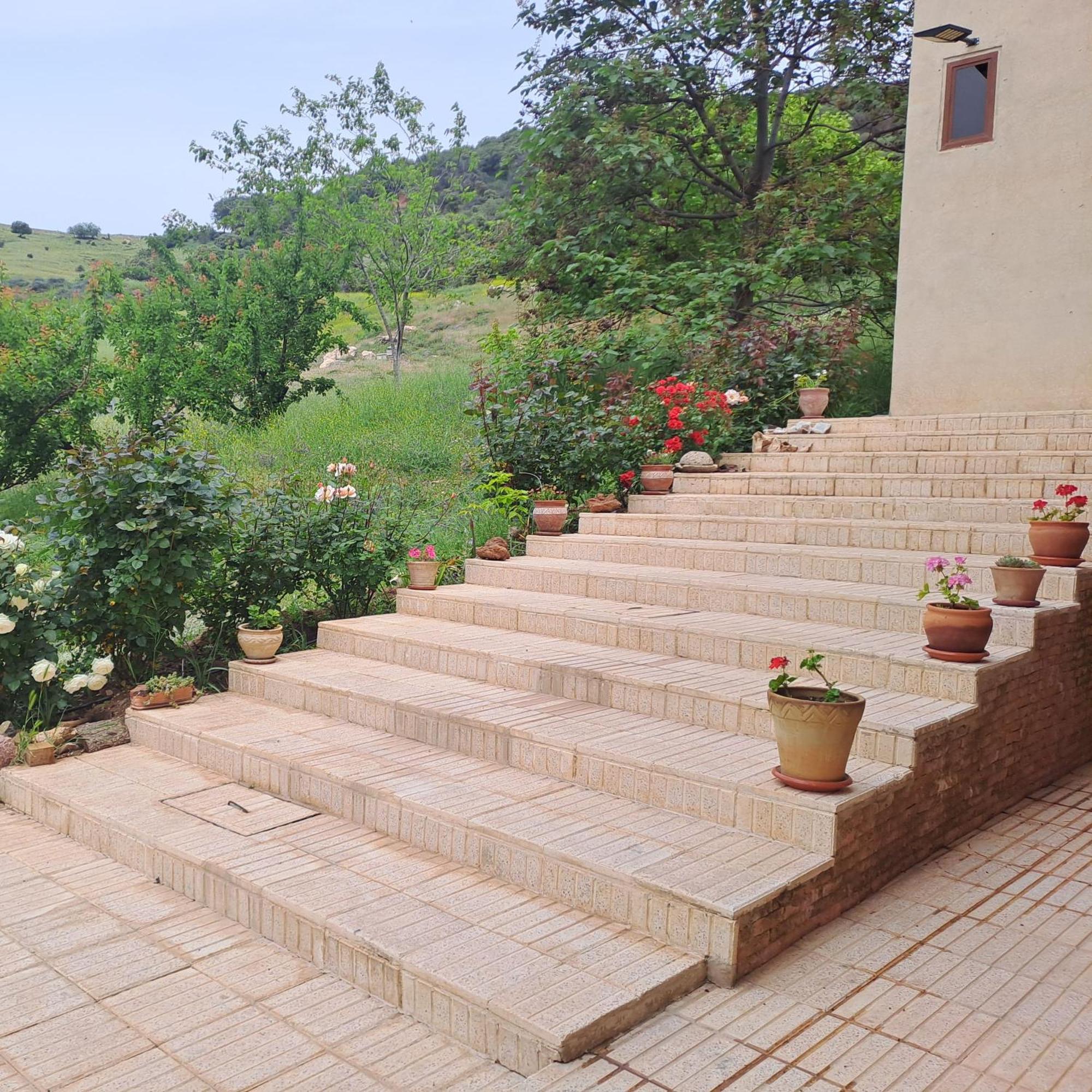 Le Chene D'Azrou Hotel Bagian luar foto
